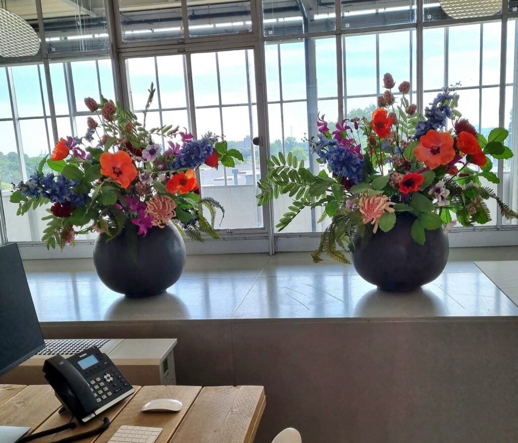 red recruitment-WhatTheFlower